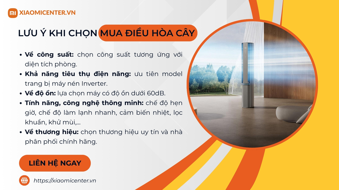 Những lưu &yacute; khi chọn mua điều h&ograve;a c&acirc;y